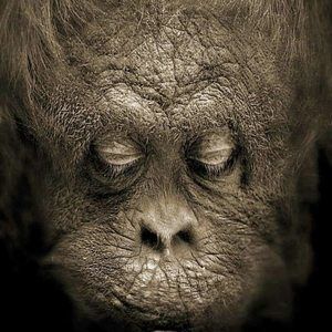 Meet your Posher, Kandice